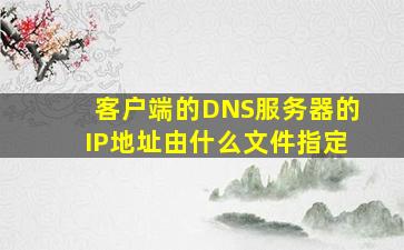 客户端的DNS服务器的IP地址由什么文件指定