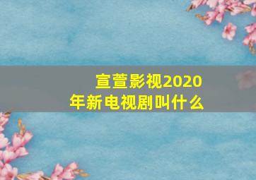 宣萱影视2020年新电视剧叫什么