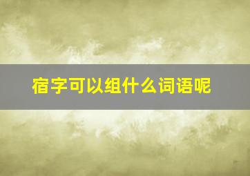 宿字可以组什么词语呢