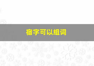 宿字可以组词