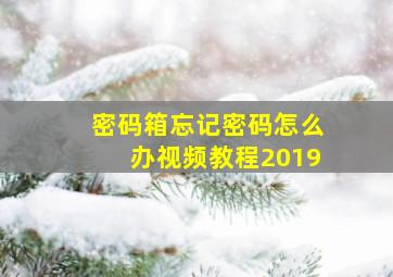 密码箱忘记密码怎么办视频教程2019