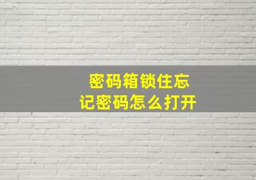 密码箱锁住忘记密码怎么打开