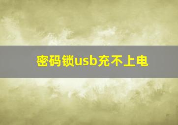 密码锁usb充不上电