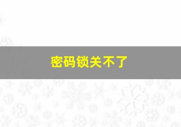 密码锁关不了