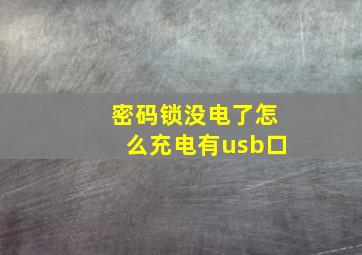 密码锁没电了怎么充电有usb口