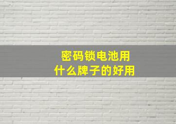 密码锁电池用什么牌子的好用