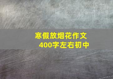 寒假放烟花作文400字左右初中