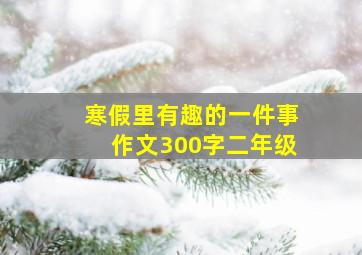 寒假里有趣的一件事作文300字二年级