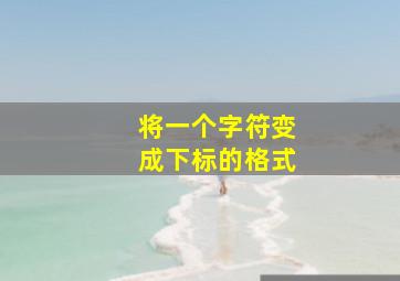 将一个字符变成下标的格式