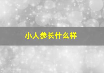 小人参长什么样