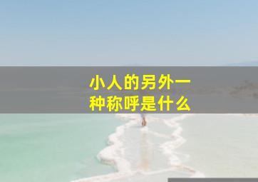 小人的另外一种称呼是什么