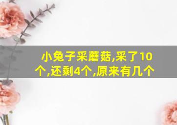 小兔子采蘑菇,采了10个,还剩4个,原来有几个