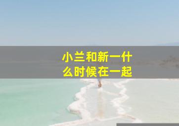 小兰和新一什么时候在一起