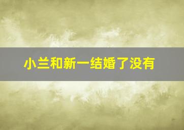 小兰和新一结婚了没有