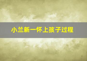 小兰新一怀上孩子过程