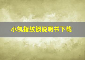 小凯指纹锁说明书下载