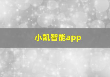 小凯智能app