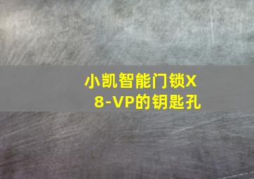 小凯智能门锁X8-VP的钥匙孔