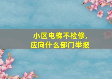 小区电梯不检修,应向什么部门举报