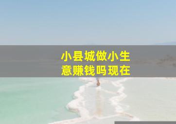 小县城做小生意赚钱吗现在