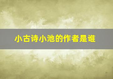 小古诗小池的作者是谁