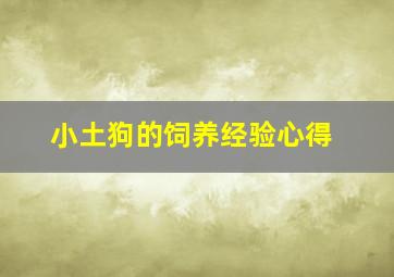 小土狗的饲养经验心得