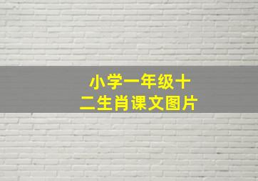 小学一年级十二生肖课文图片