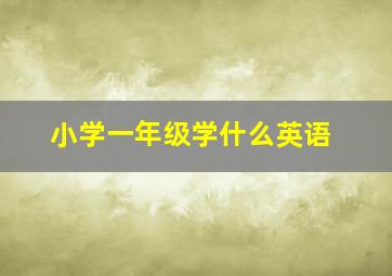 小学一年级学什么英语