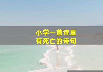 小学一首诗里有死亡的诗句