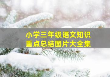 小学三年级语文知识重点总结图片大全集