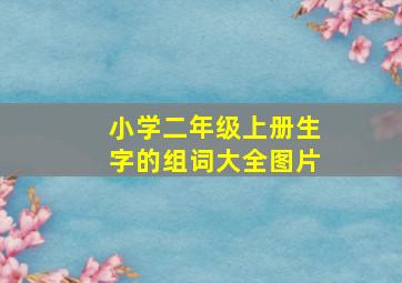 小学二年级上册生字的组词大全图片