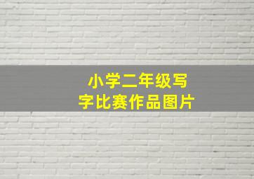 小学二年级写字比赛作品图片