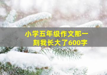 小学五年级作文那一刻我长大了600字