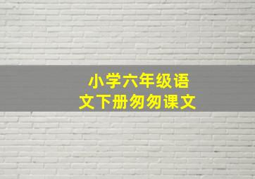 小学六年级语文下册匆匆课文