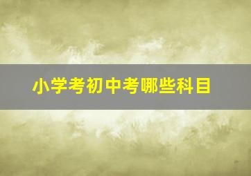 小学考初中考哪些科目