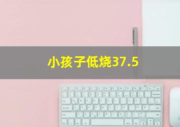 小孩子低烧37.5