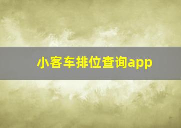 小客车排位查询app