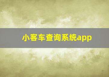 小客车查询系统app