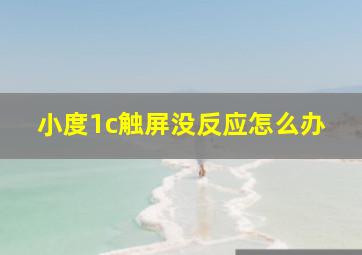 小度1c触屏没反应怎么办