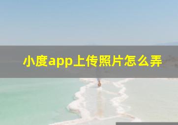 小度app上传照片怎么弄