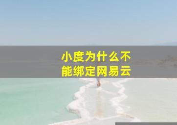 小度为什么不能绑定网易云