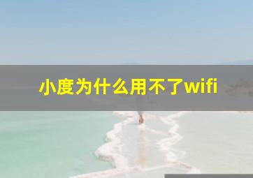 小度为什么用不了wifi