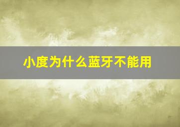 小度为什么蓝牙不能用