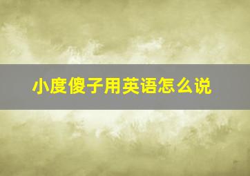 小度傻子用英语怎么说