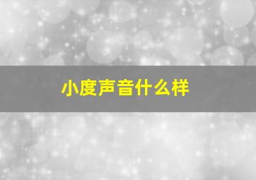 小度声音什么样