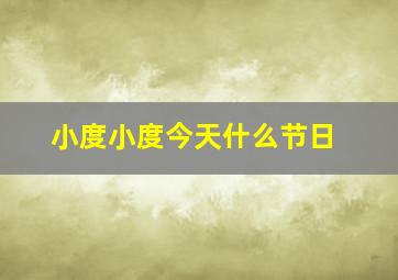 小度小度今天什么节日