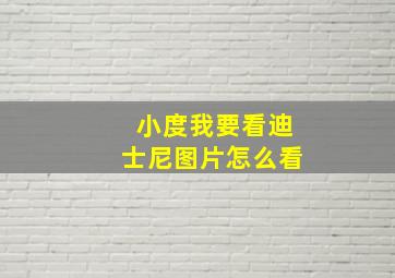 小度我要看迪士尼图片怎么看