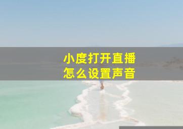 小度打开直播怎么设置声音