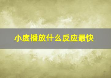 小度播放什么反应最快