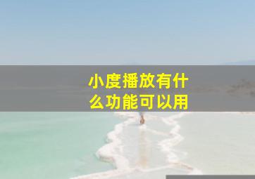 小度播放有什么功能可以用